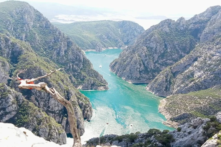 galeri_20260205_085512_b290b0ff53d413ea9636